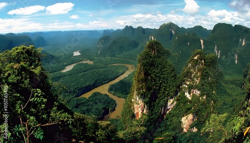 Madidi National Park Rainforest Landscape photo