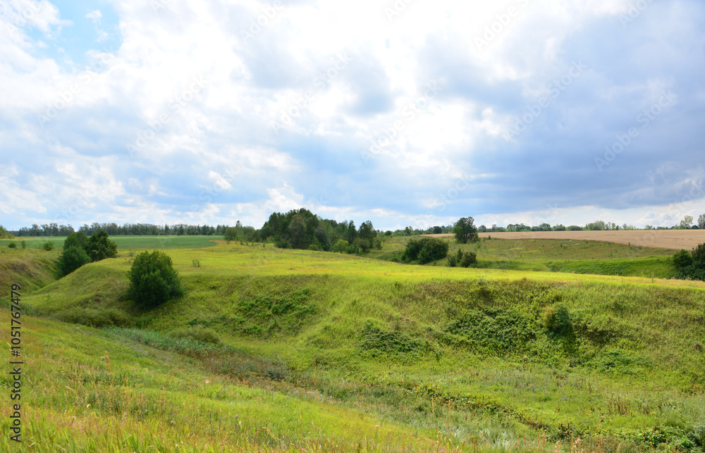 Fototapeta premium a green grassy hill with a cloudy sky and a field with trees in the background 