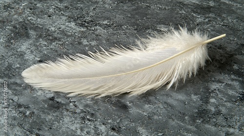 A delicate white feather resting on a textured surface.