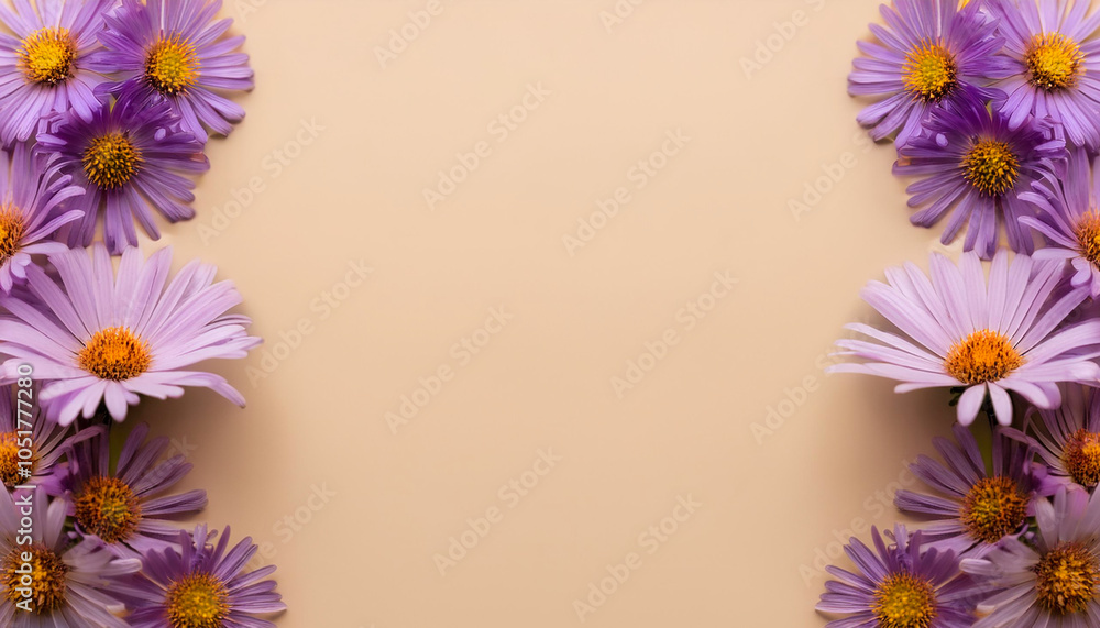 Symphyotrichum ericoides flower filling the edges of the frame isolated on a biege background Symphyotrichum ericoides flower filling the edges of the frame isolated on a biege background