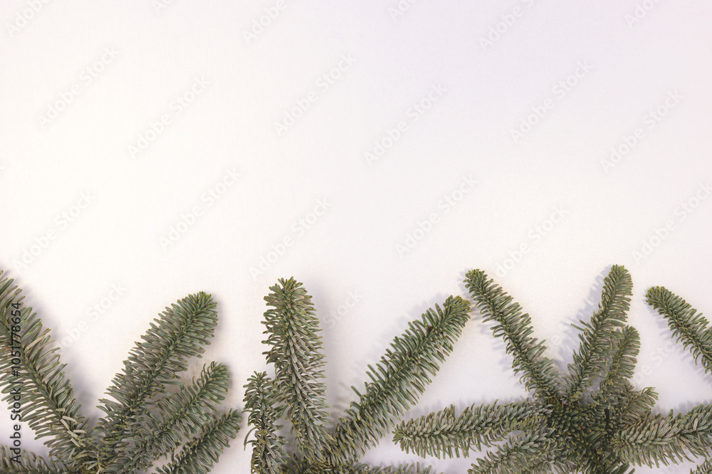 Row of nobilis fir branches on a shiny silver background. Place for your design. Row of nobilis fir branches on a shiny silver background. Place for your design.