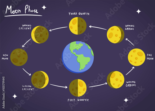 Illustrated diagram of the moon phases around Earth, showing each stage from new moon to full moon, including waxing and waning crescents and gibbous phases. Ideal for educational content on astronomy