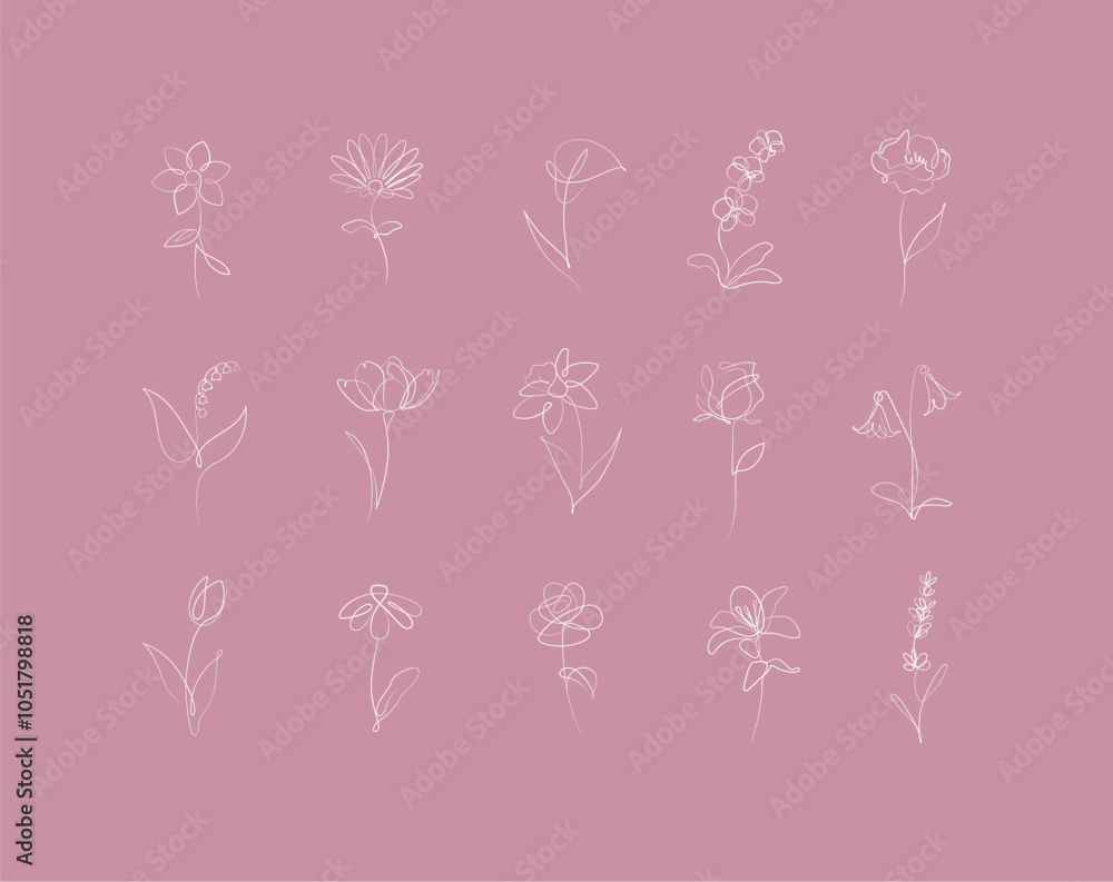 Flowers icons set rose, tulip, bell, camellia, daffodil, daisy, calla, lavender, lily, peony, poppy, wallflower drawing in linear style with white on pink background