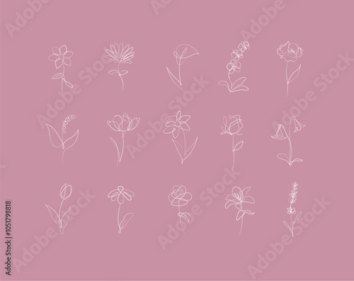 Obraz na płótnie Flowers icons set rose, tulip, bell, camellia, daffodil, daisy, calla, lavender, lily, peony, poppy, wallflower drawing in linear style with white on pink background w salonie