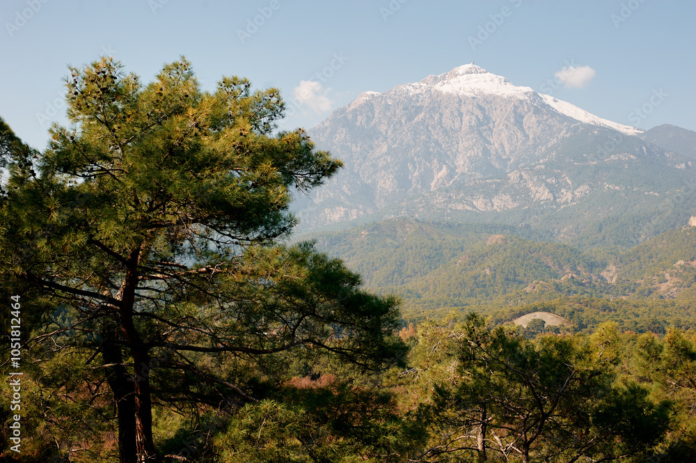 Fototapeta premium Meditterranean nature. Mountain forest in Turkey.