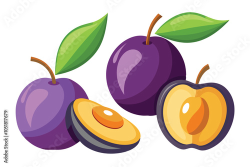 Fresh and Dried Plums Icon Set – Whole, Half, and Prune Plums Vector on White Background.