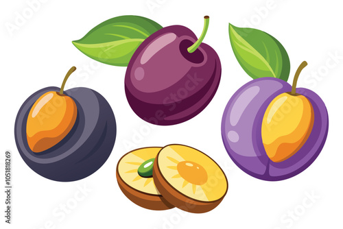 Fresh and Dried Plums Icon Set – Whole, Half, and Prune Plums Vector on White Background.