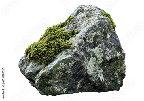 Photo of nature mossy rock .Transparent background. Isolated PNG.