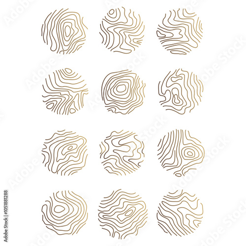 wood ring logo vector. Circle topographic map stock illustration