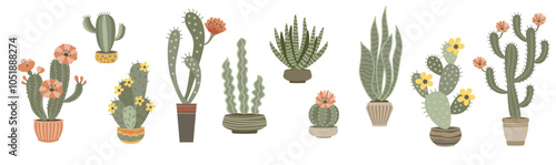 Cute cacti and succulents in pots. Exotic potted plants collection