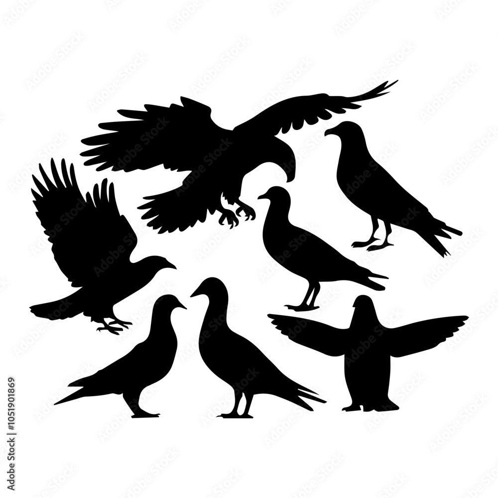 Obraz premium Set of Beautiful Birds black Silhouette on white background
