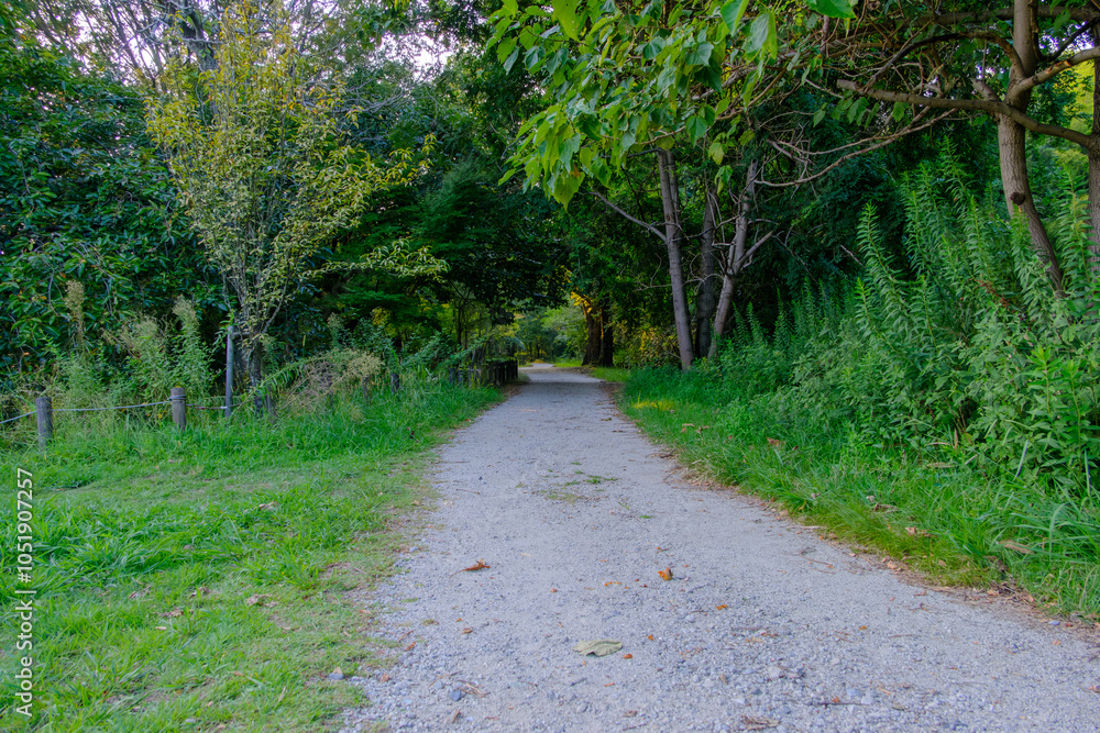 Fototapeta premium Peaceful Gravel Pathway through Greenery