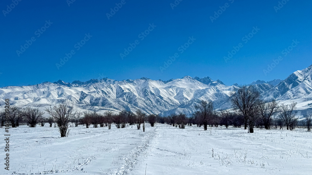 Footprints on a snowy plain in the mountains of Kyrgyzstan. Clear skies and snow-covered peaks create an atmosphere of calm and vast open spaces.