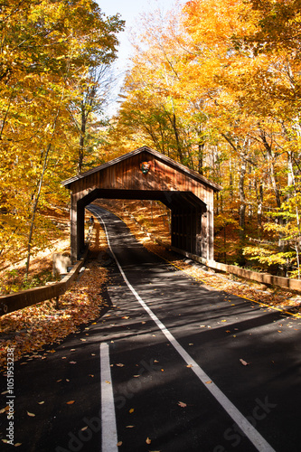 Road with covered bridge through trees in autumn