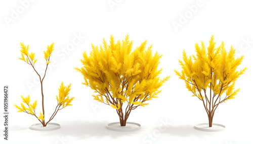 3d illustration of Baggesens Gold shrubs isolated on transparent background isolated with white highlights, png photo