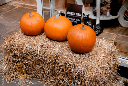 pumpkin and straw