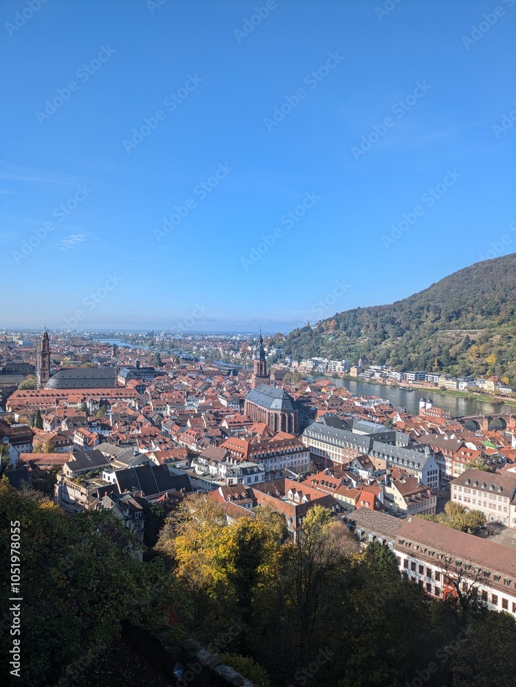 Fototapeta premium Heidelberg city panorama