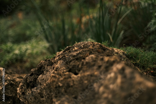 Wallpaper Mural Paris, France Torontodigital.ca