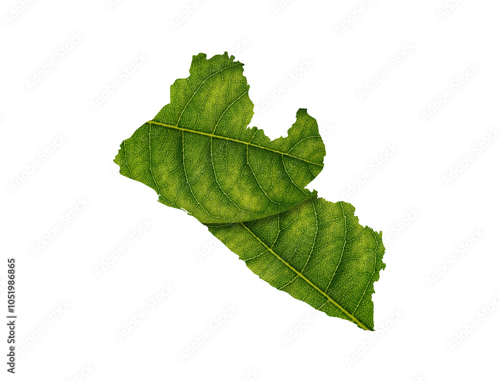Liberia map made of green leaves on white background ecology concept
Liberia map made of green leaves on white background ecology concept