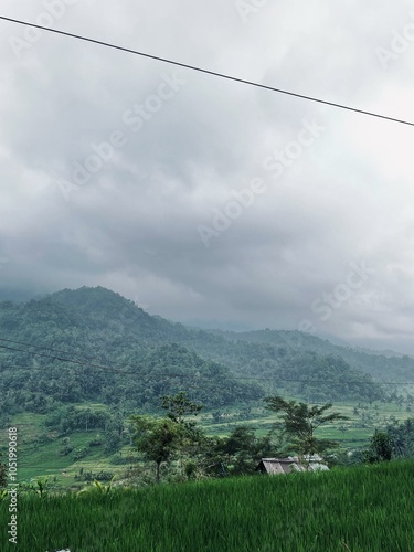 the mountains