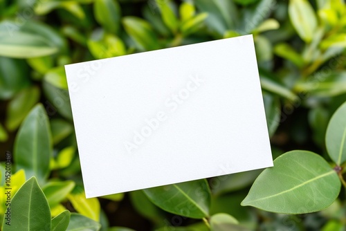 Minimalist blank card with greenery background for eco-friendly invitations designs. displayed against a lush. nature themes, product mockup. plant leaves, organic foliage, sustainable environment.