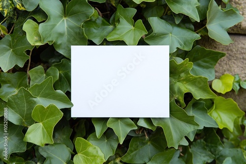 Minimalist blank card with greenery background for eco-friendly invitations designs. displayed against a lush. nature themes, product mockup. plant leaves, organic foliage, sustainable environment.