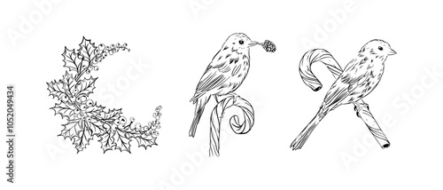 Line art of birds perched on candy canes with holly decorations, perfect for holiday themes hand drawn vector illustration