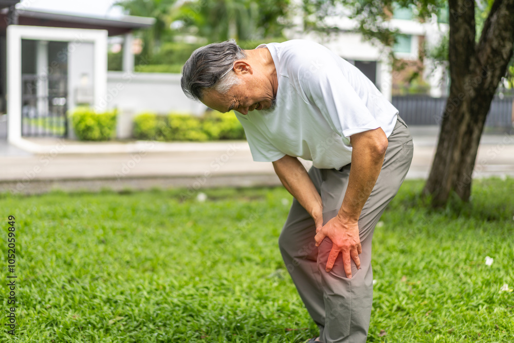 Fototapeta premium Sick unhappy senior adult elderly asian man touching her muscle injury leg suffering from muscles knee pain ache at home.physical injury and healthcare problem