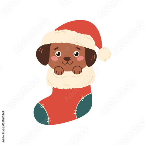 Cute puppy in christmas stocking. Small dog wearing Santa hat in Christmas sock isolated on white background