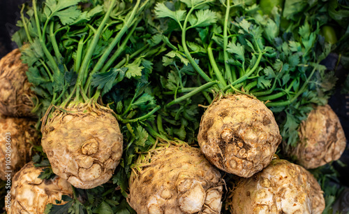 Fresh raw celery roots with their stem on table