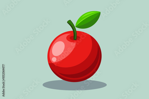 Beautiful fruit acerola vector art illustration  photo