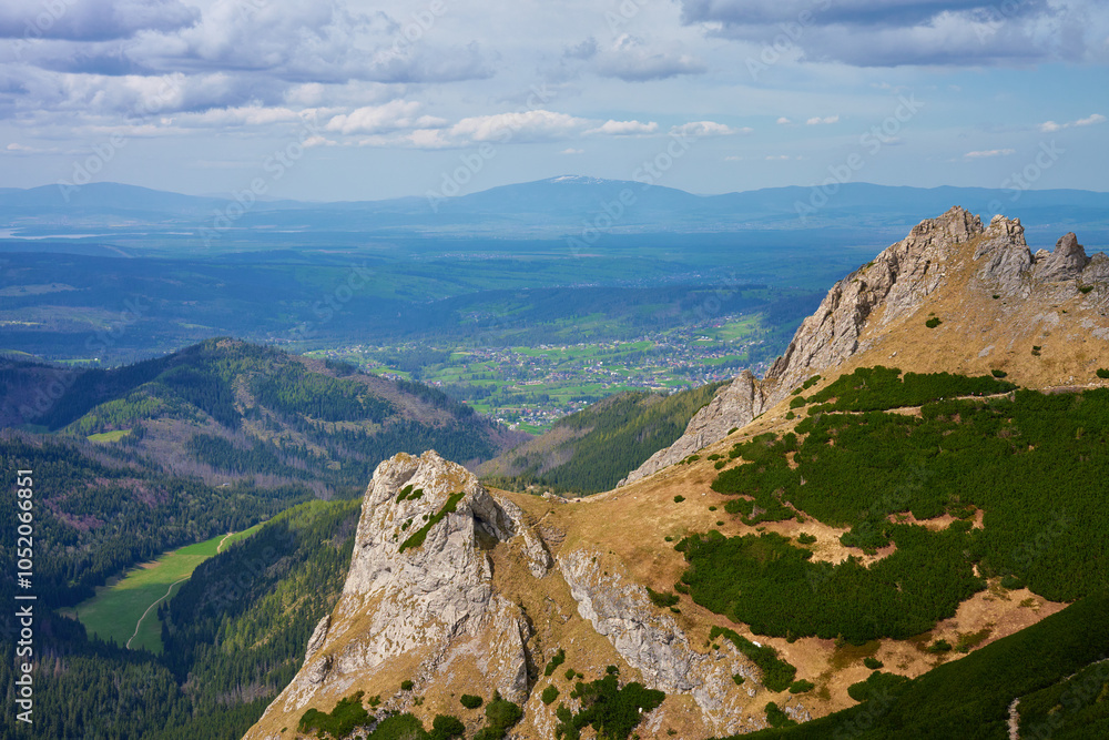 Naklejka premium Panoramic view of green mountain valley with rolling hills and dense forests under cloudy sky. Tatra Mountains in Poland. Travel tourism and hiking concept