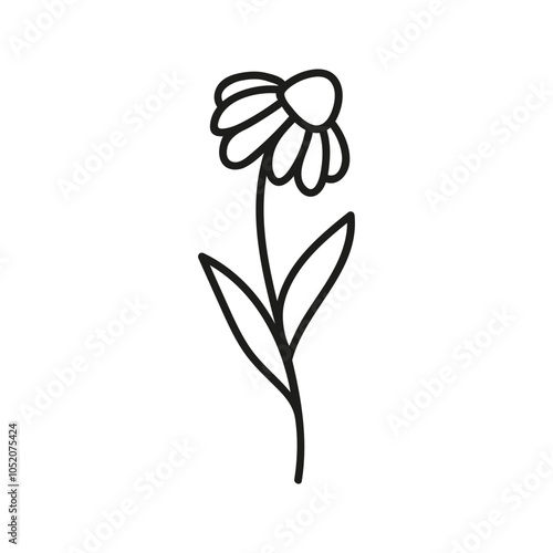 Summer chamomile flower. Hand drawn doodle illustration.