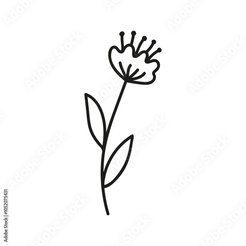 Small field wildflower. Hand drawn doodle illustration.