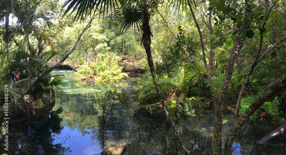 MEX_Cenote_Coba_2019_RET_IMG7724.JPG MEX_Cenote_Coba_2019_RET_IMG7724.JPG