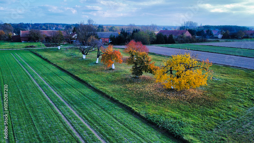 landscape with trees