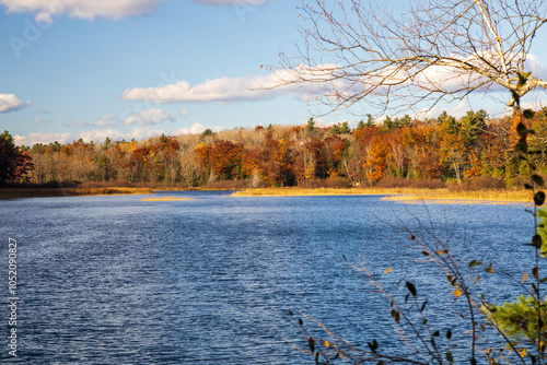 AuSable River - Cooke Dam Pond - Pine Acres - Huron National Forest - Iosco. County Michigan photo