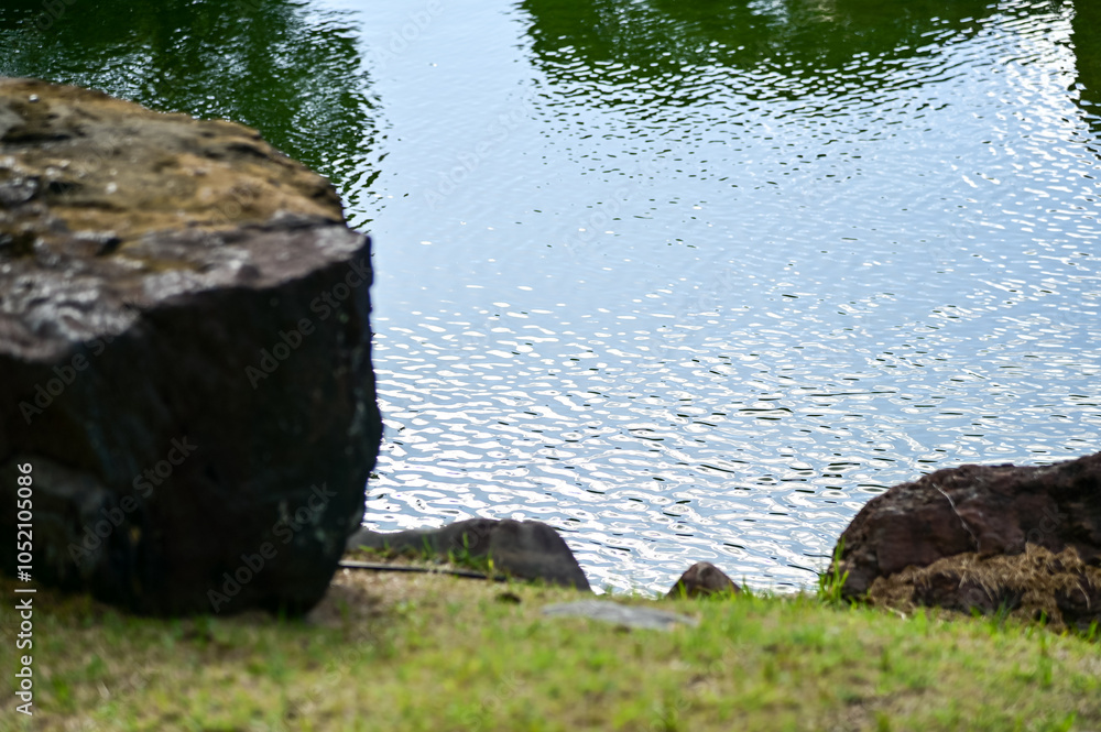 Φωτογραφία The Japanese gardern view of nijo jo castle, Kyoto, Japan