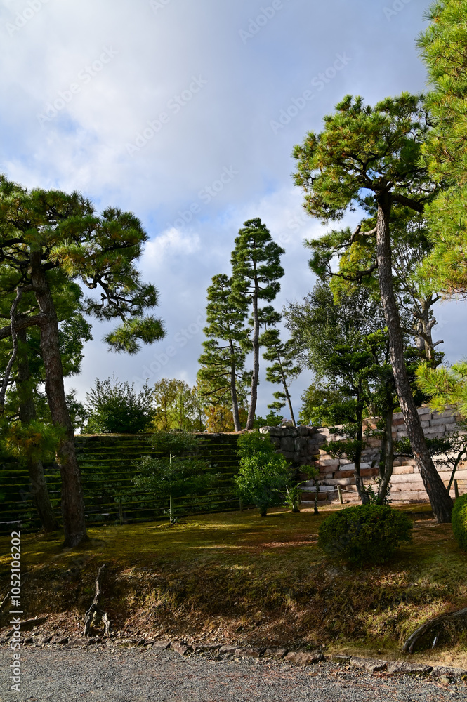 Φωτογραφία The Japanese gardern view of nijo jo castle, Kyoto, Japan
