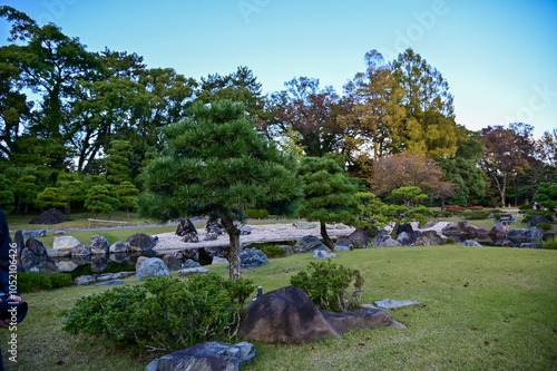 The Japanese gardern view of nijo jo castle, Kyoto, Japan. World Heritage Site, Japanese old traditional architecture in Kyoto, Japan. Background landscape of the beauty of Nijo Castle at sunny day. photo