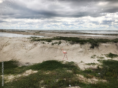 MEX_Saltlake_Las_Coloradas_2019_RET_IMG9448.JPG photo