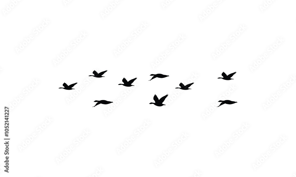 Obraz premium Flying birds silhouettes And Vector illustration.