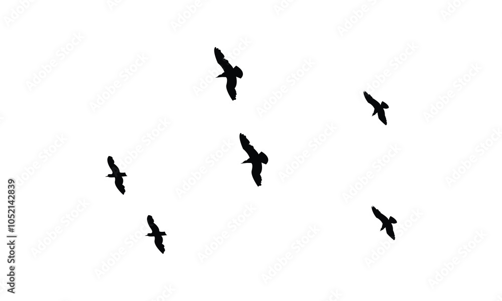 Fototapeta premium Flying birds silhouettes And Vector illustration.