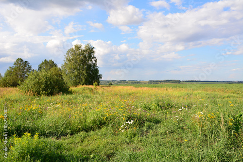 a field with a tree and yellow flowers and blue sky with clouds 