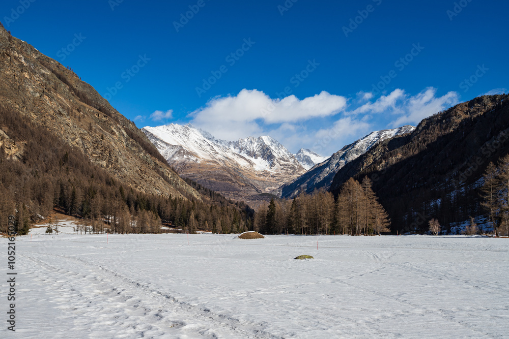 Fototapeta premium Valnontey, parco nazionale del Gran Paradiso