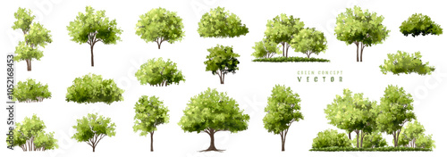  Vector watercolor green  tree or forest side view isolated on white background for landscape and architecture drawing,elements for environment or and garden,Shrub for section