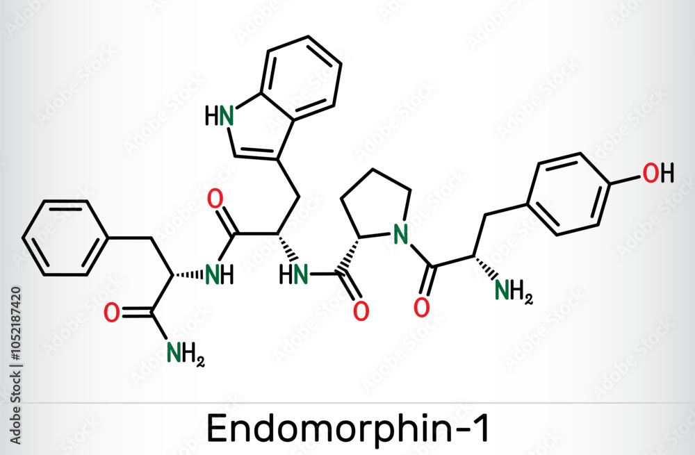 Fototapeta premium Endomorphin-1 (EM-1) molecule. Endogenous opioid peptide for pain modulation. Skeletal chemical formula. Vector