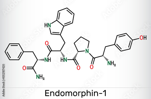 Endomorphin-1 (EM-1) molecule. Endogenous  opioid peptide for pain modulation. Skeletal chemical formula. Vector