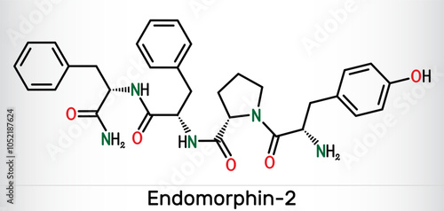 Endomorphin-2 molecule. Natural opioid peptide with analgesic properties. Skeletal chemical formula. Vector