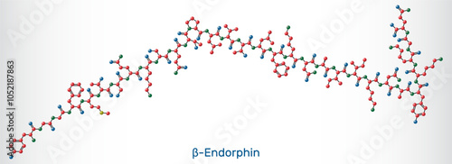 Beta endorphin molecule model. Endogenous opioid neuropeptide and peptide hormone. Sheet of paper in a cage.  Vector illustration